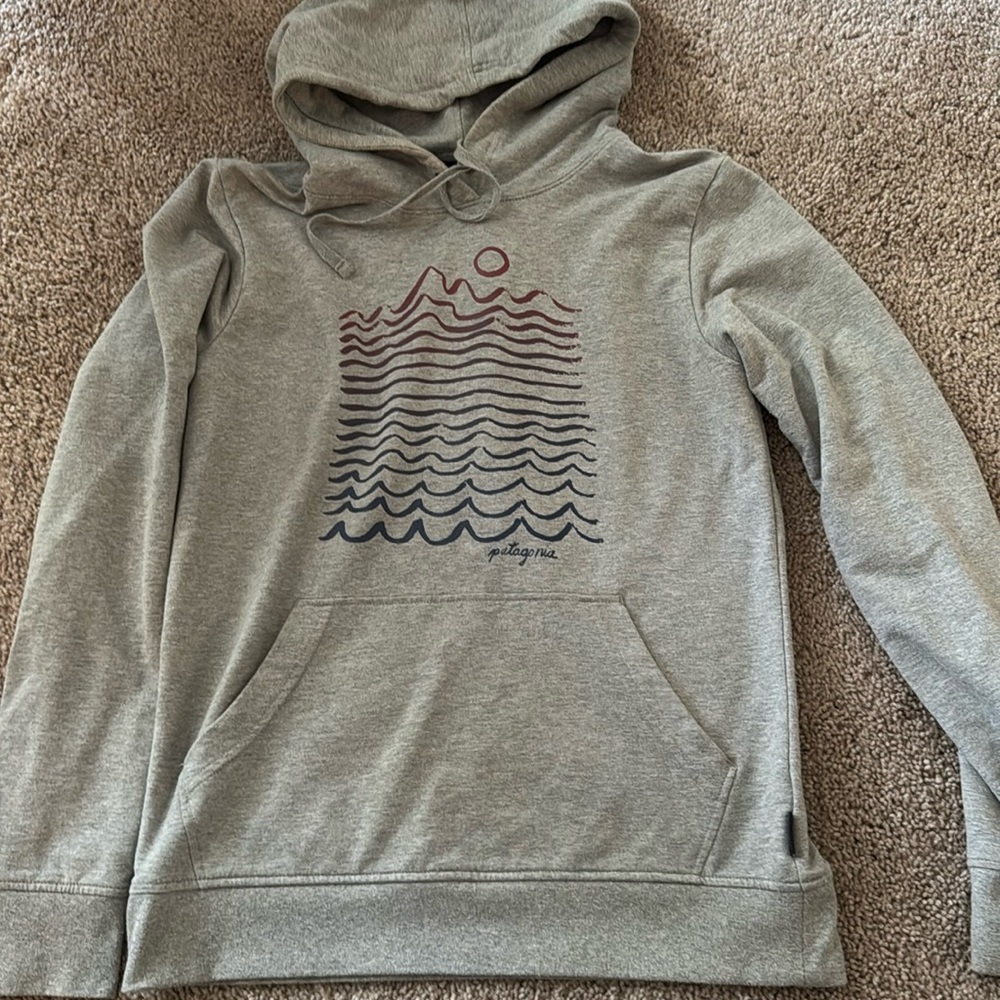 Patagonia Hoodie